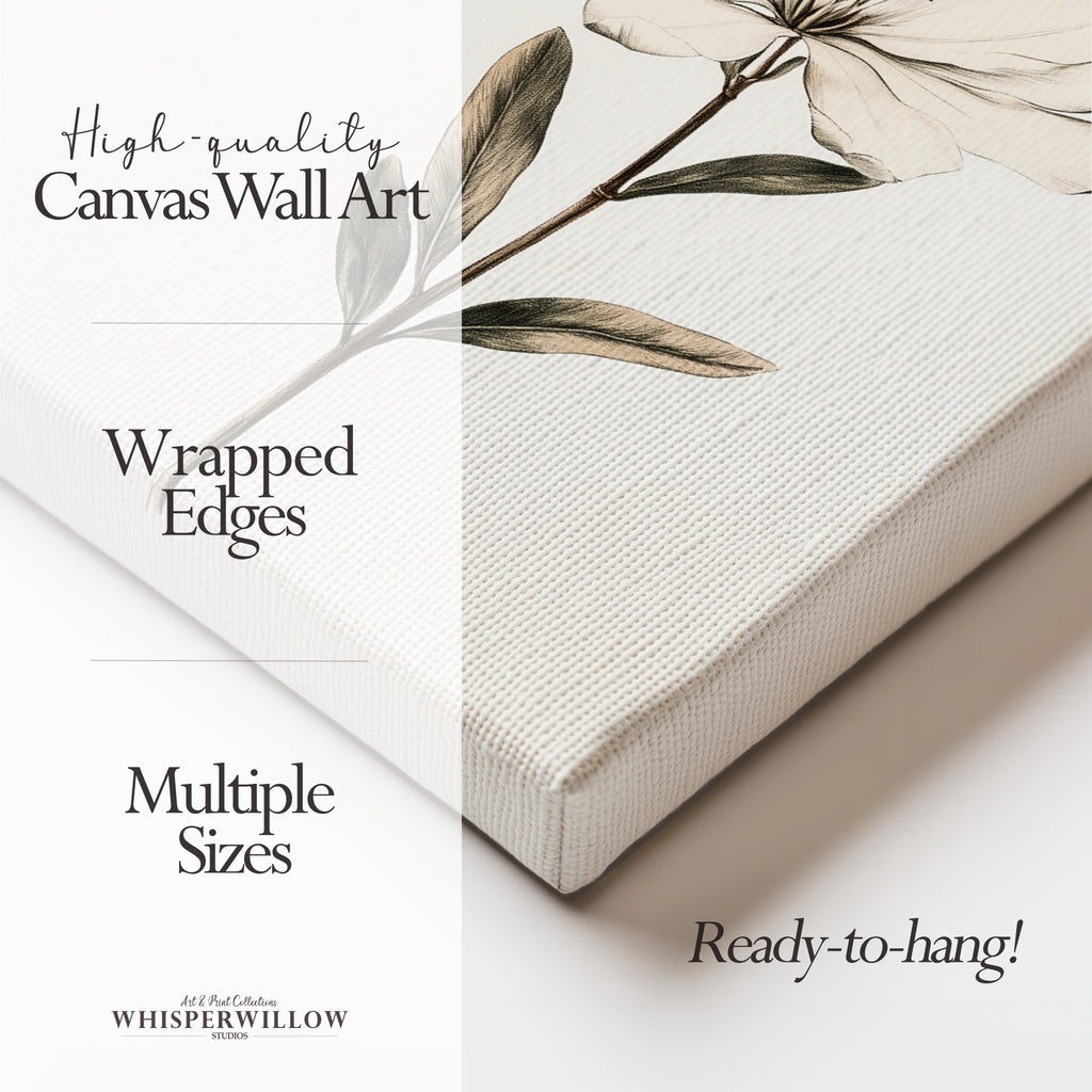 Magnolien-Leinwandbild | Vintage-Illustration mit weißen Blumen | Schlichte, elegante und klassische Dekoration