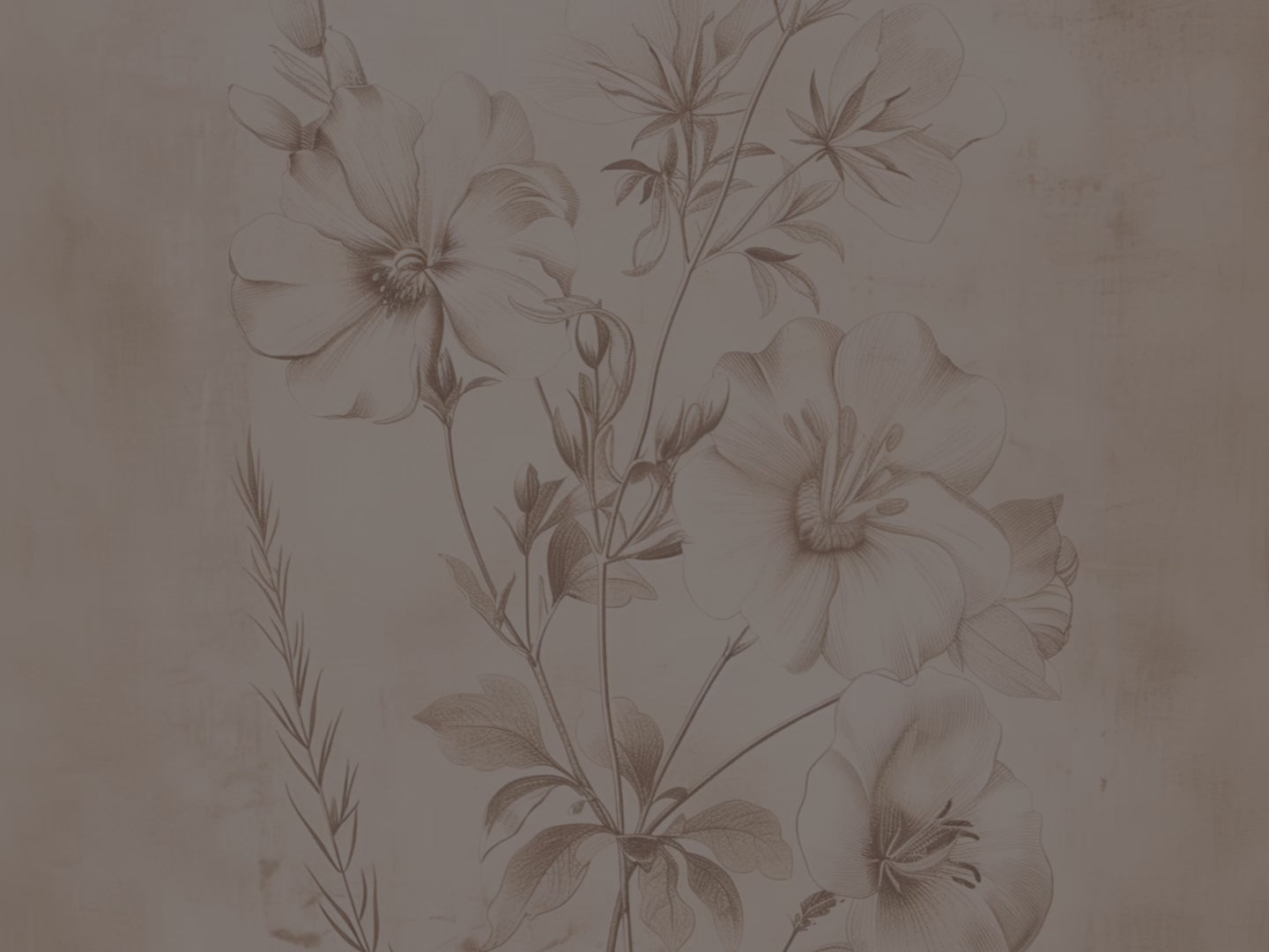 Vintage Wildblumen-Notizbuch mit Hardcover – Skizzenbuch mit floralem Muster, minimalistischem, neutralem Naturmotiv, botanisches Geschenk