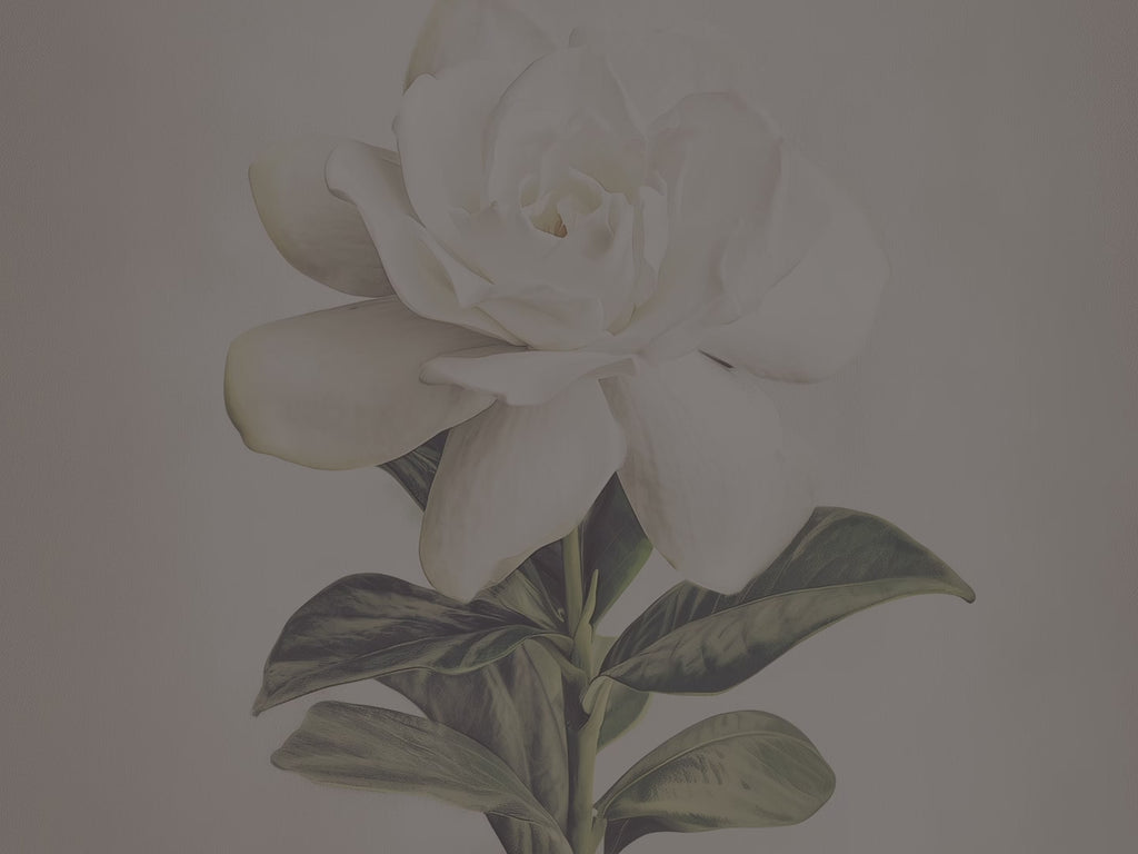 Coussin décoratif blanc gardénia | Motif floral élégant | Coussin décoratif minimaliste à motif botanique