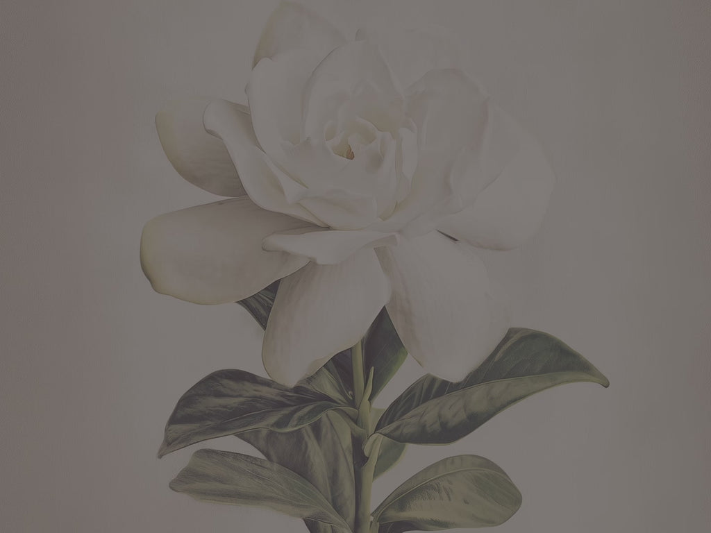 Carnet à couverture rigide White Gardenia - Décor floral élégant, carnet botanique minimaliste