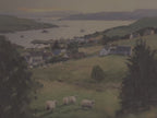Coastal Sheep Meadow Phone Case | Samsung Compatible | Irish Harbor Village Scenic Cover